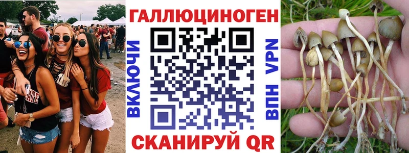 Псилоцибиновые грибы мухоморы  Андреаполь 